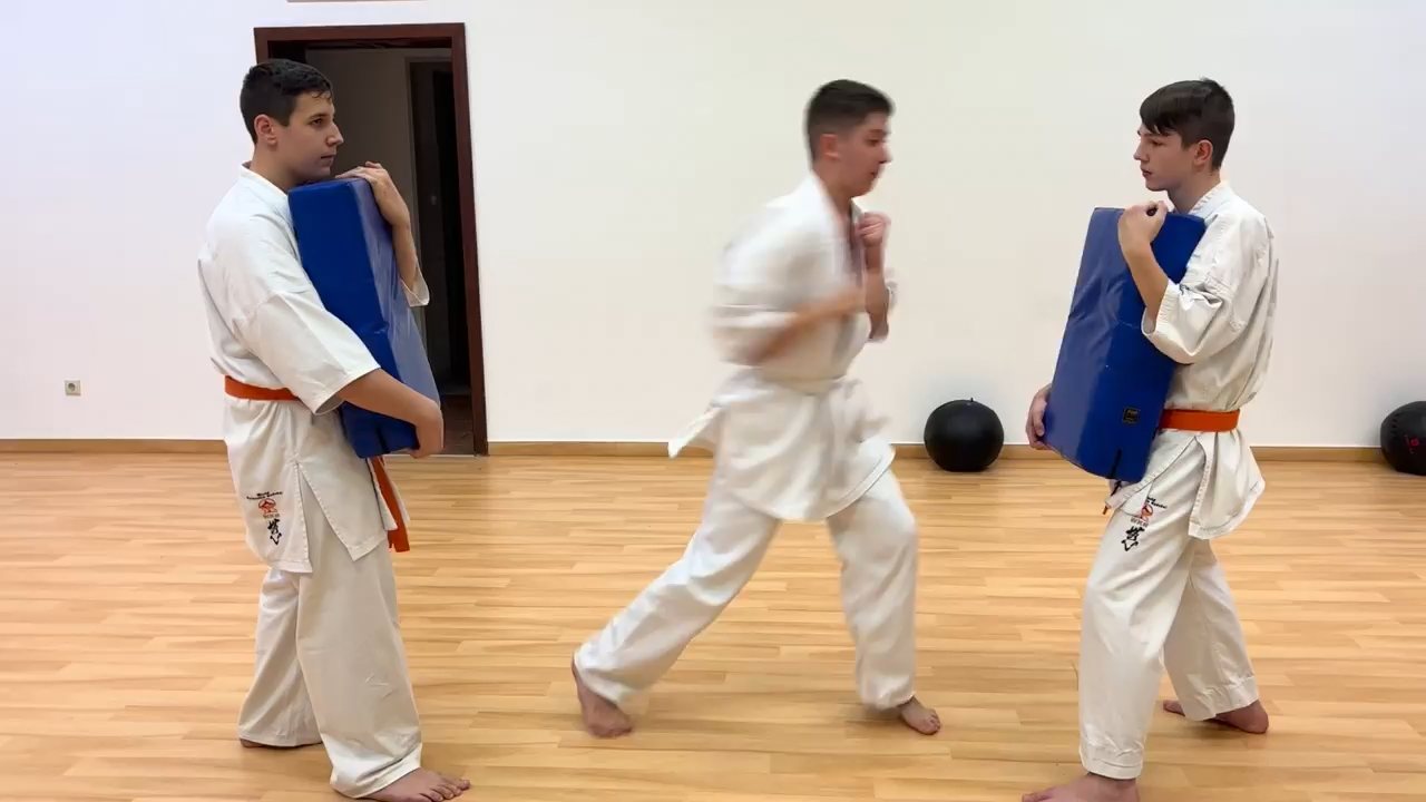 WKB Seishin Dójó heti munka