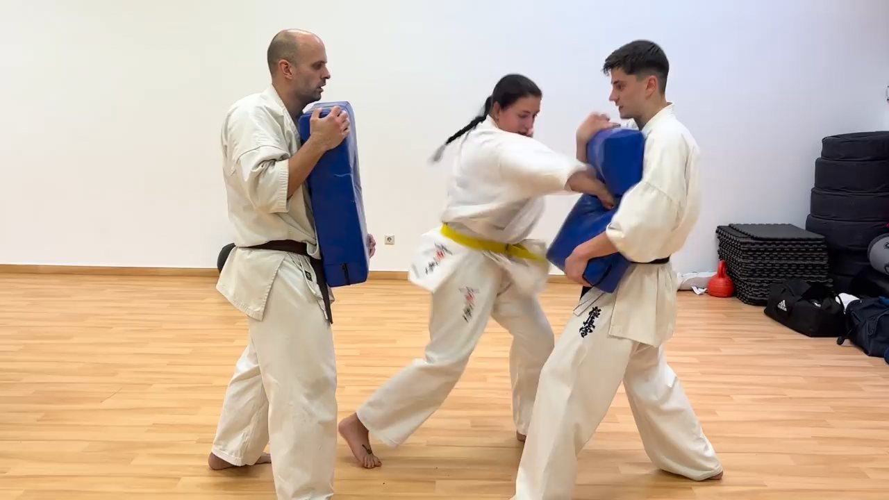 WKB Seishin Dójó heti munka