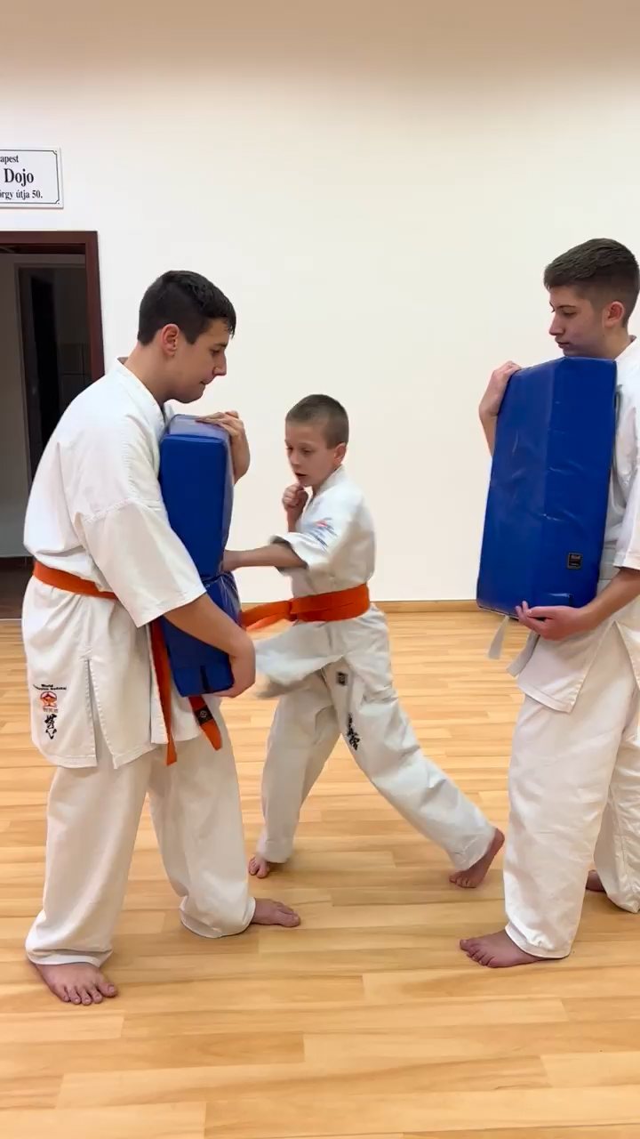 WKB Seishin Dójó heti munka