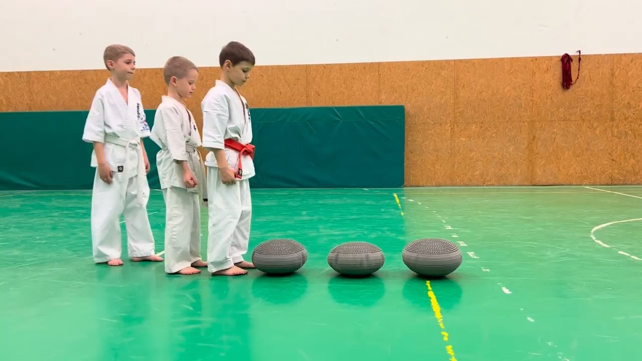WKB Seishin Dójó heti munka
