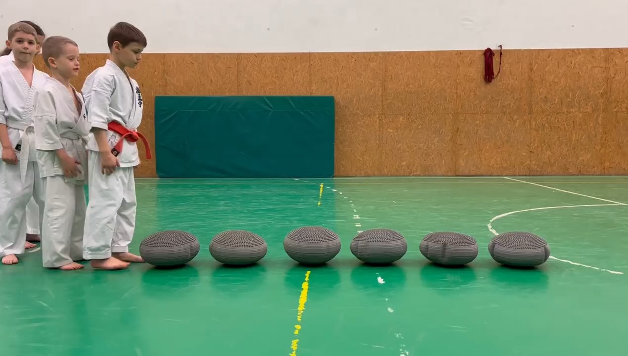 WKB Seishin Dójó heti munka