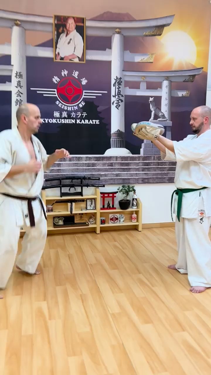 WKB Seishin Dójó heti munka