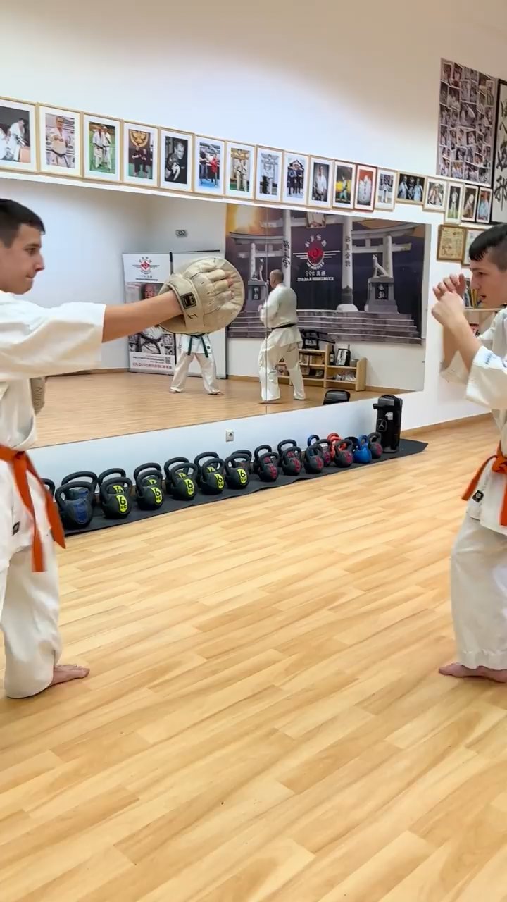 WKB Seishin Dójó heti munka