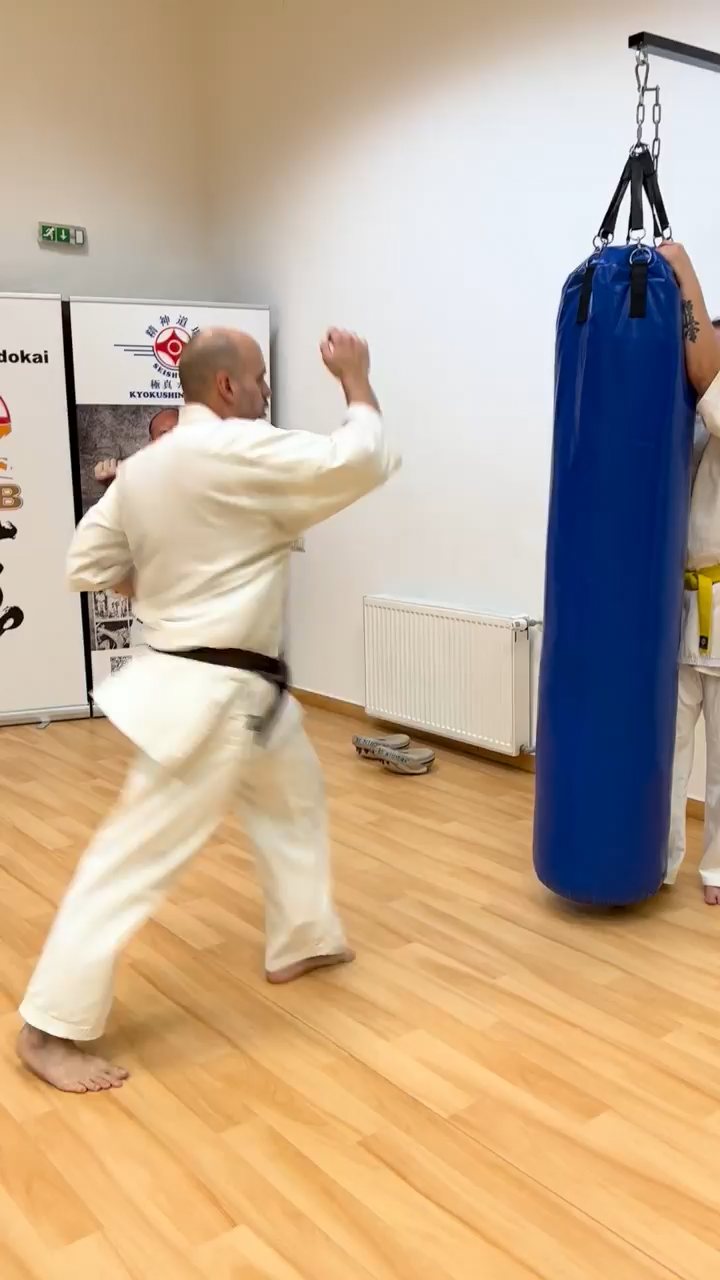 WKB Seishin Dójó heti munka