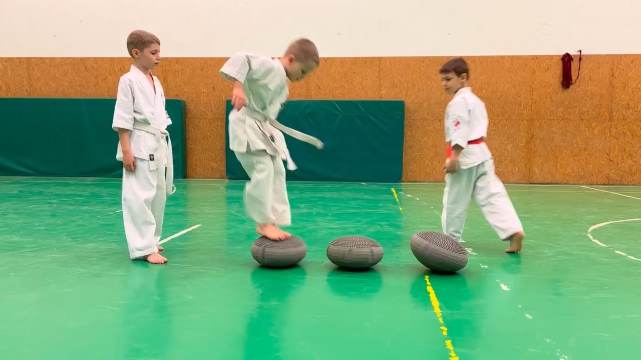 WKB Seishin Dójó heti munka