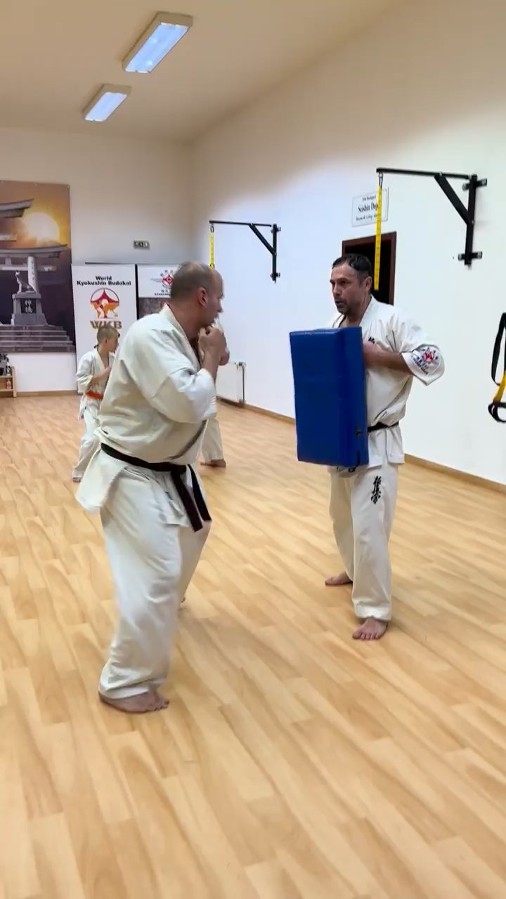 WKB Seishin SE. Remek hetet zártunk!