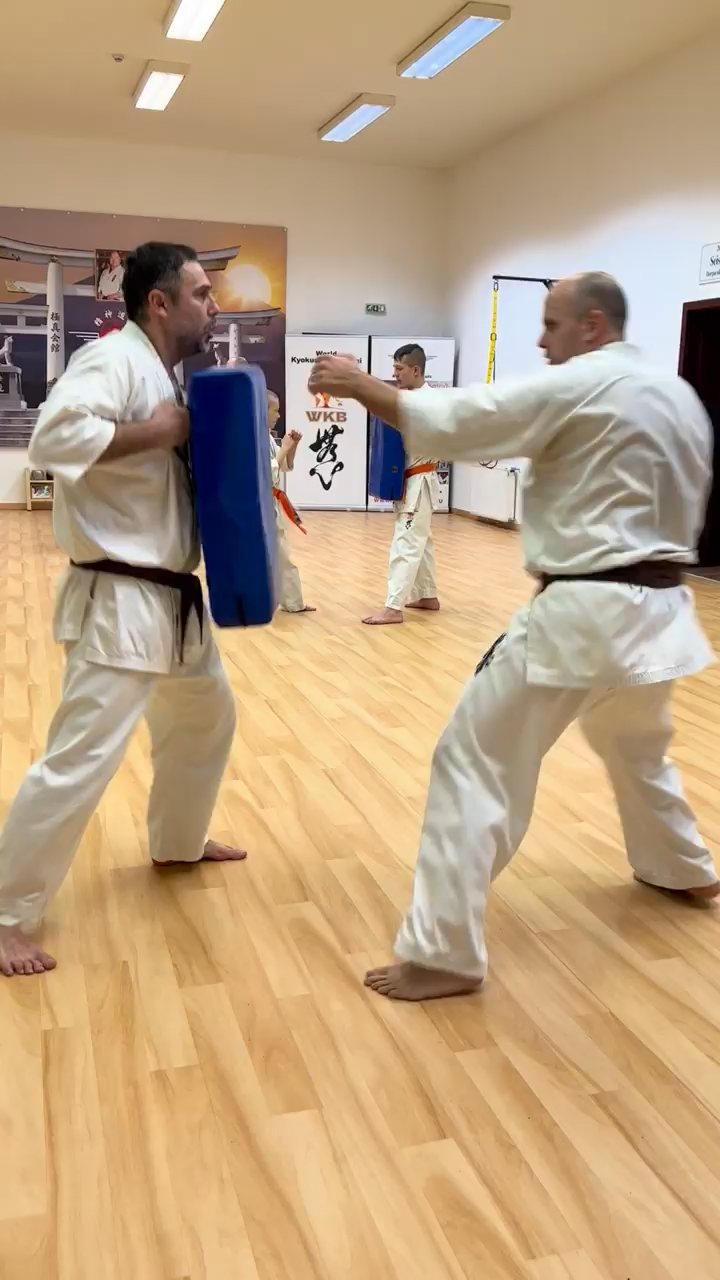 WKB Seishin SE. Remek hetet zártunk!