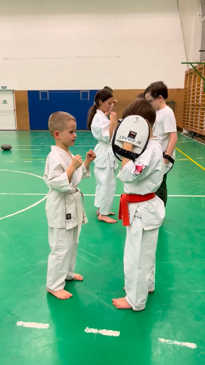 WKB Seishin SE. Remek hetet zártunk!