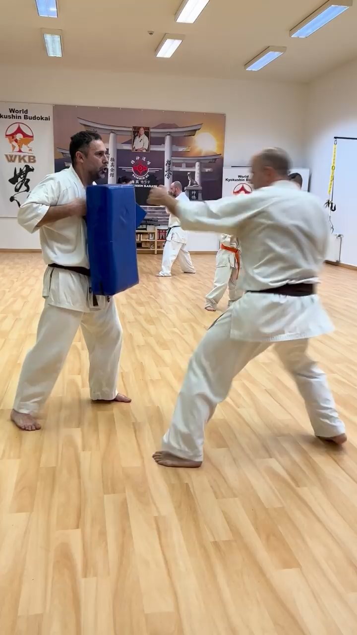 WKB Seishin SE. Remek hetet zártunk!
