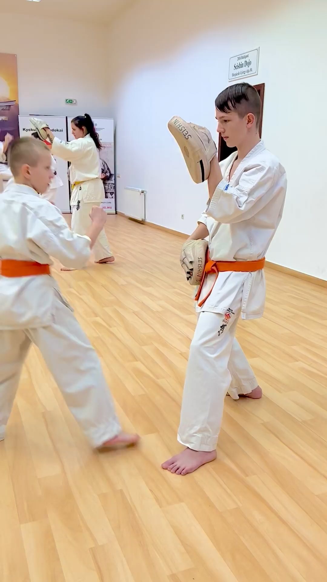 WKB Seishin Sportegyesület heti munka
