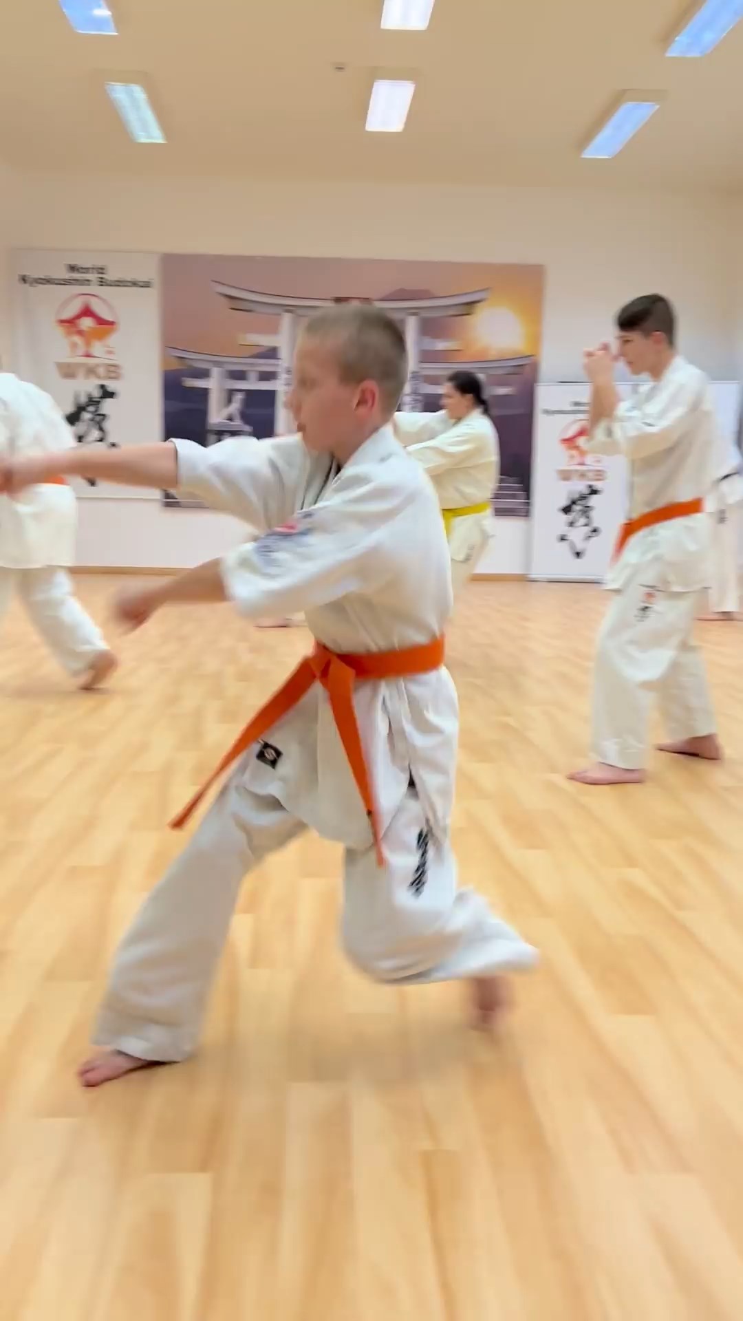WKB Seishin Sportegyesület heti munka