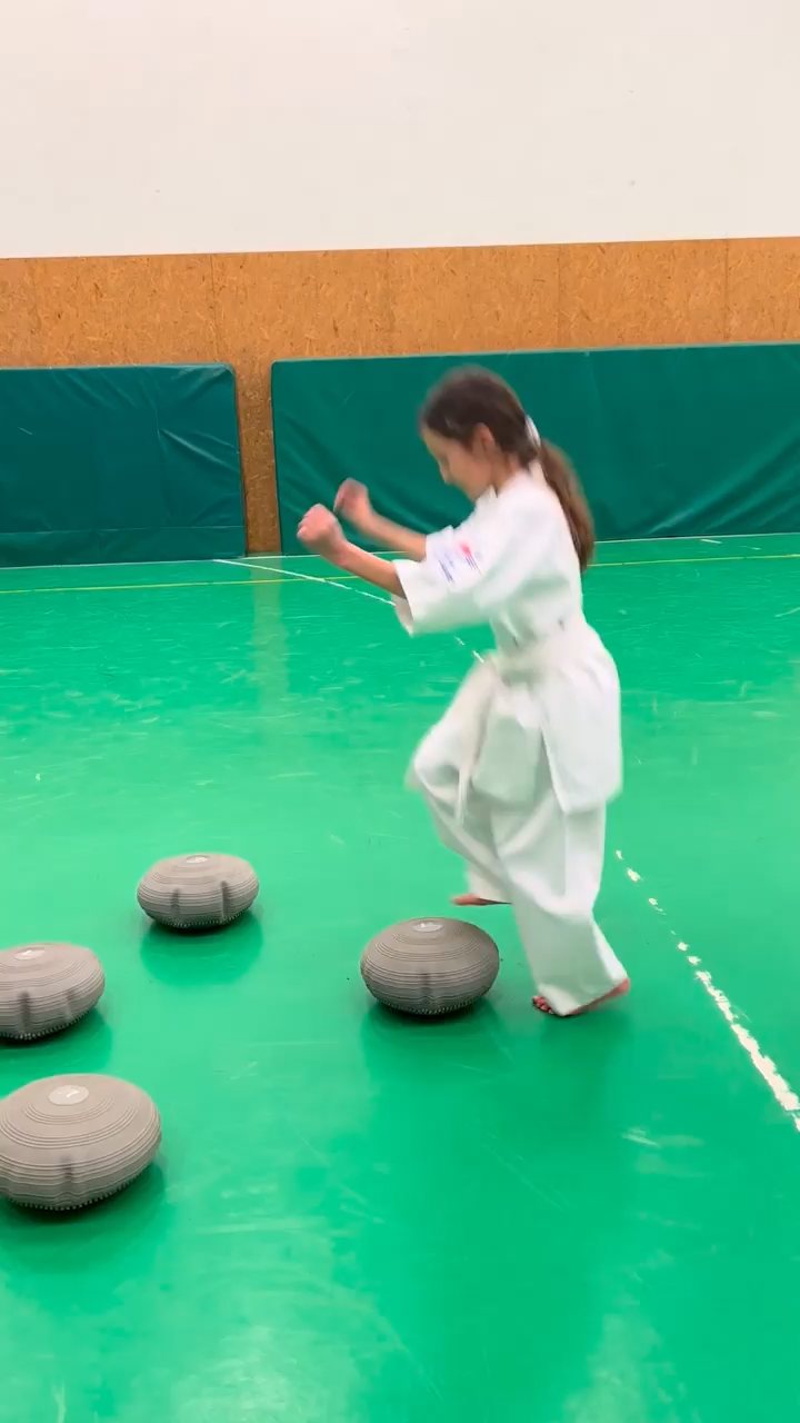 WKB Seishin Sportegyesület heti munka