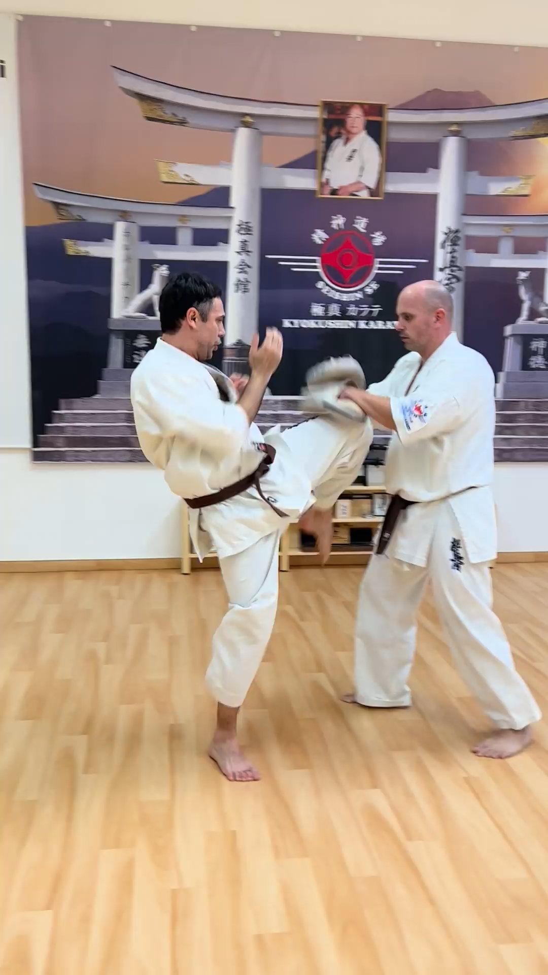 WKB Seishin Sportegyesület heti munka