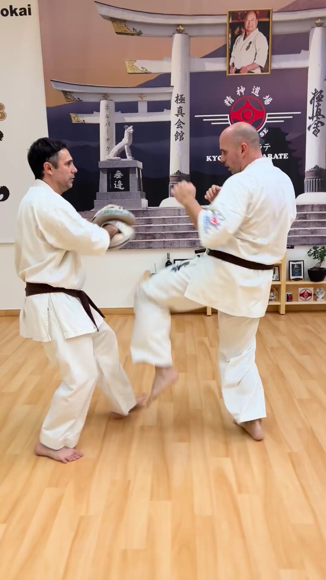 WKB Seishin Sportegyesület heti munka