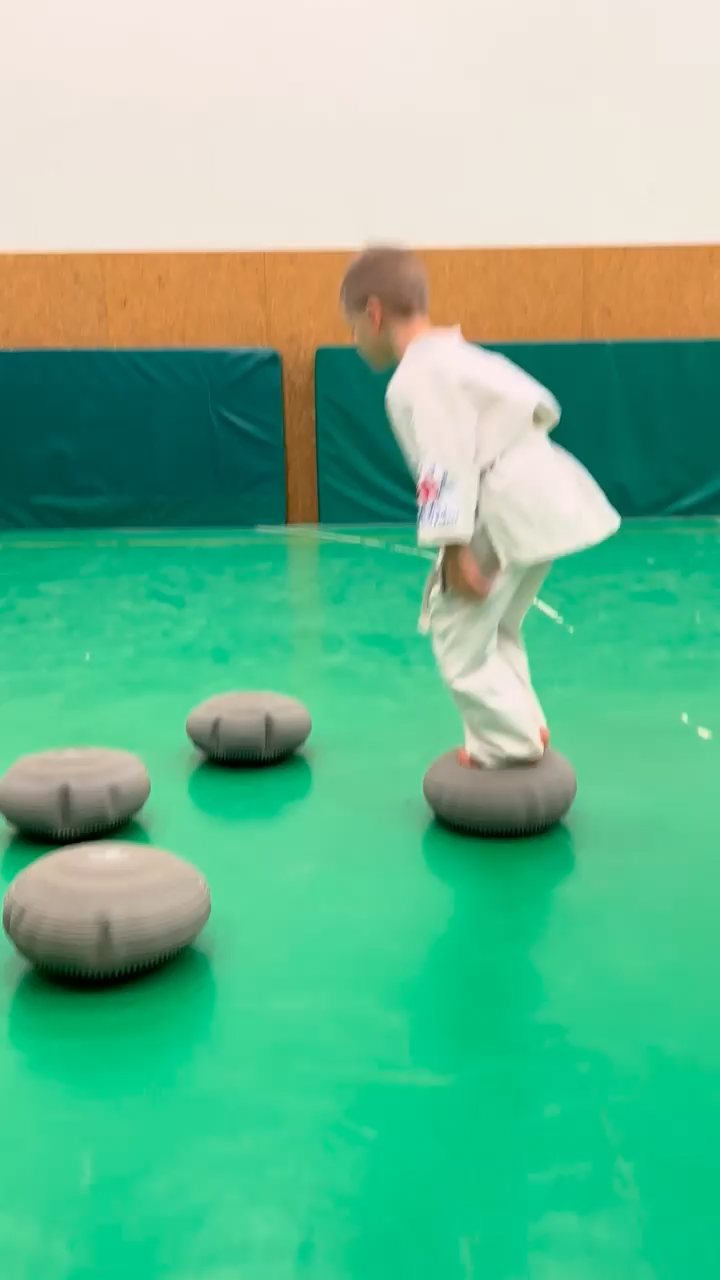 WKB Seishin Sportegyesület heti munka