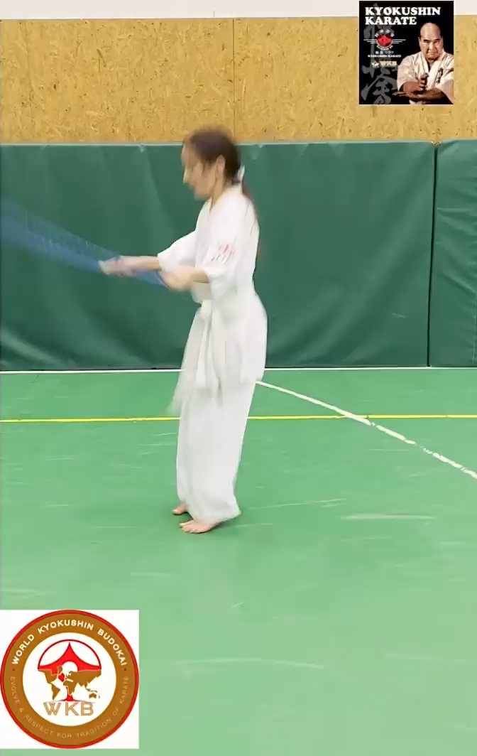 WKB Seishin Sportegyesület heti munka