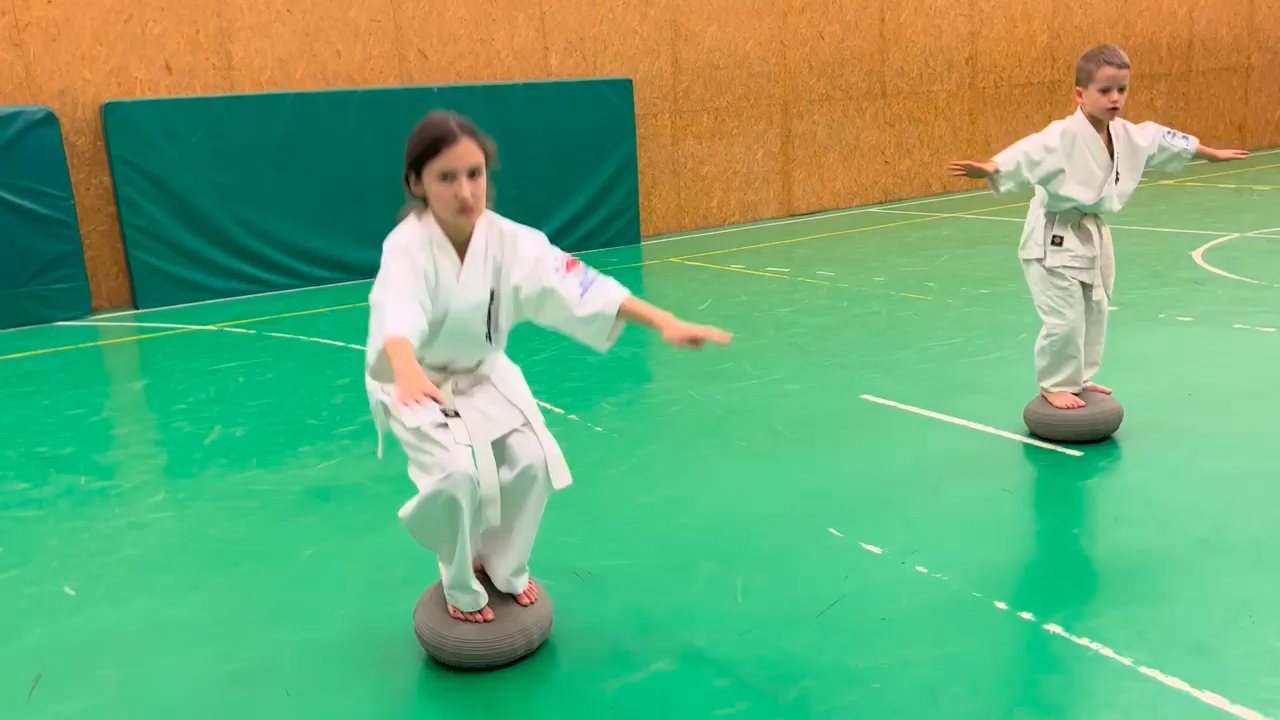 WKB Seishin Sportegyesület heti munka