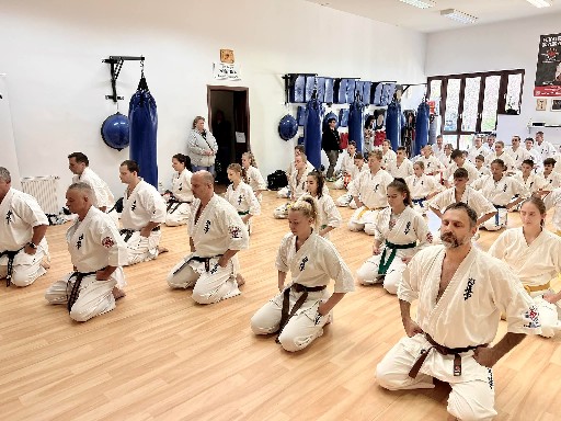 Fighting training at the Seishin Dojo 🥋⛩