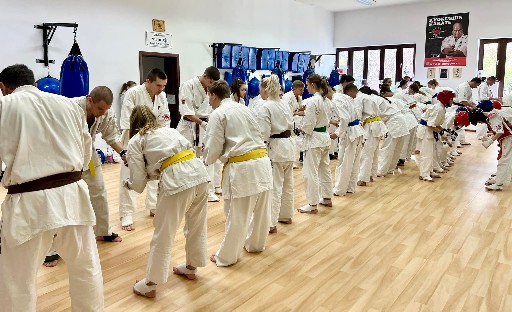 Fighting training at the Seishin Dojo 🥋⛩
