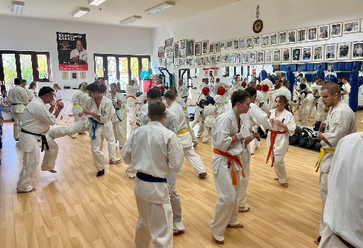 Fighting training at the Seishin Dojo 🥋⛩