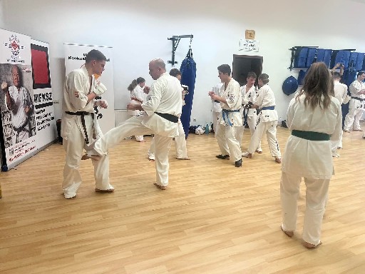 Fighting training at the Seishin Dojo 🥋⛩