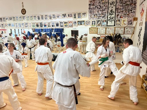 Fighting training at the Seishin Dojo 🥋⛩
