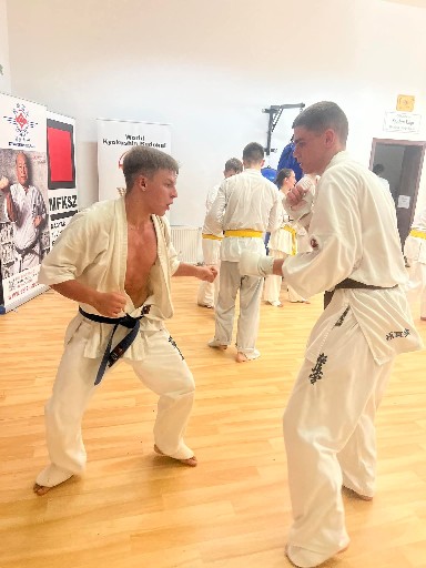 Fighting training at the Seishin Dojo 🥋⛩