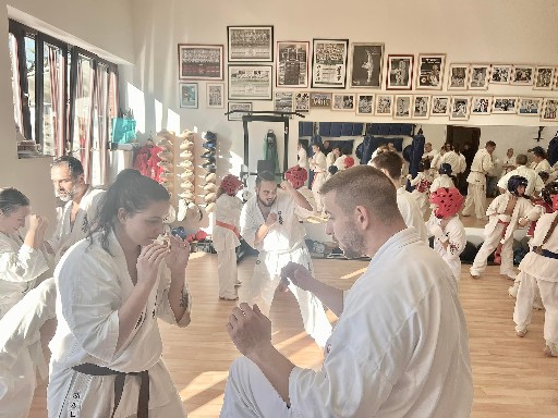 Fighting training at the Seishin Dojo 🥋⛩