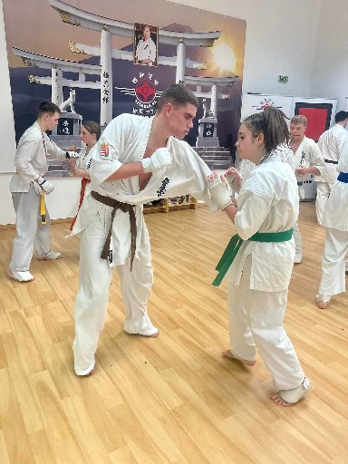 Fighting training at the Seishin Dojo 🥋⛩