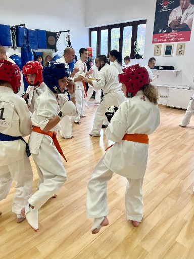 Fighting training at the Seishin Dojo 🥋⛩