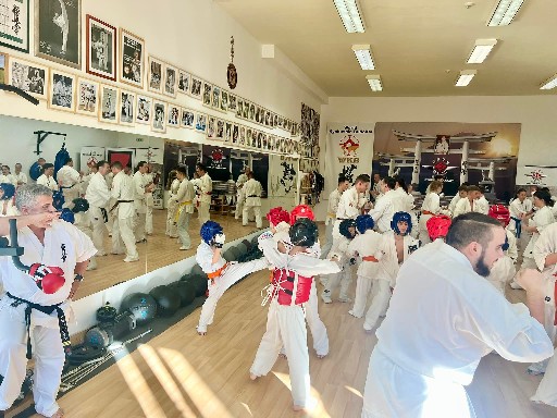 Fighting training at the Seishin Dojo 🥋⛩