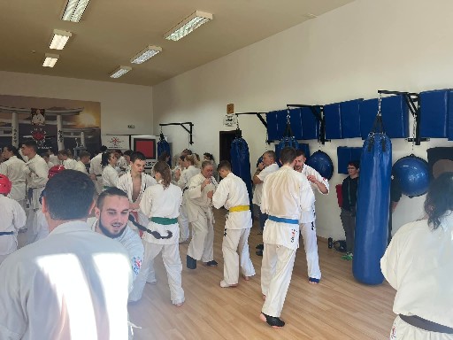 Fighting training at the Seishin Dojo 🥋⛩