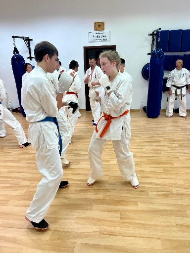 Fighting training at the Seishin Dojo 🥋⛩