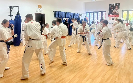Fighting training at the Seishin Dojo 🥋⛩