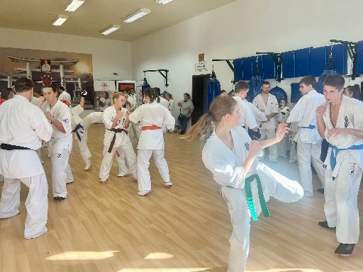 Fighting training at the Seishin Dojo 🥋⛩