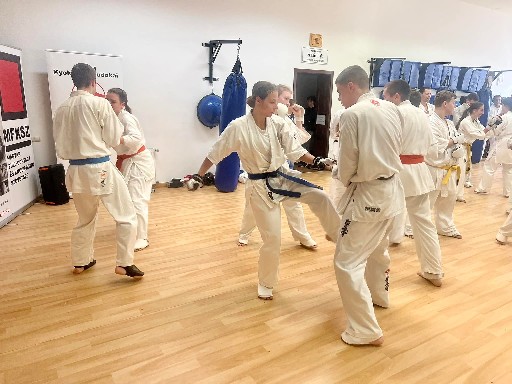 Fighting training at the Seishin Dojo 🥋⛩
