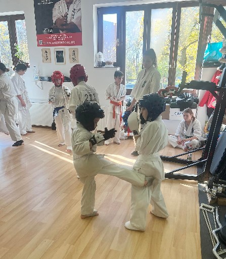 Fighting training at the Seishin Dojo 🥋⛩