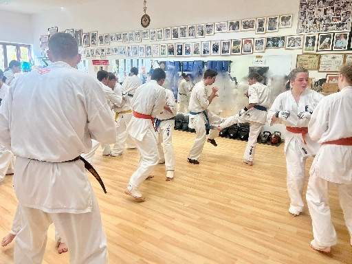 Fighting training at the Seishin Dojo 🥋⛩