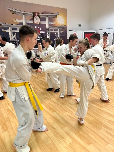 Fighting training at the Seishin Dojo 🥋⛩