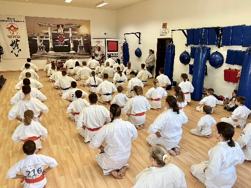 Fighting training at the Seishin Dojo 🥋⛩