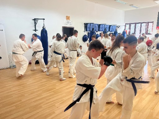 Fighting training at the Seishin Dojo 🥋⛩