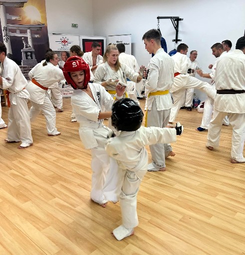 Fighting training at the Seishin Dojo 🥋⛩