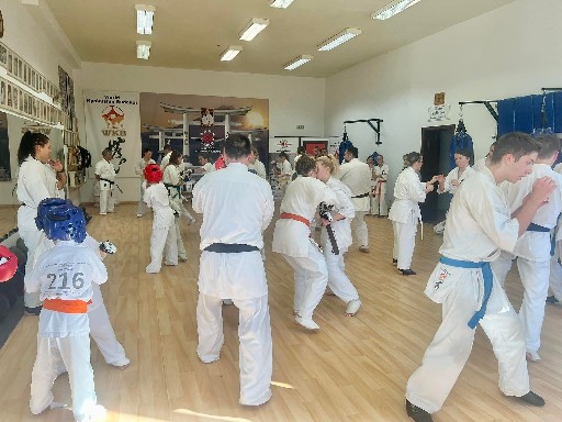 Fighting training at the Seishin Dojo 🥋⛩