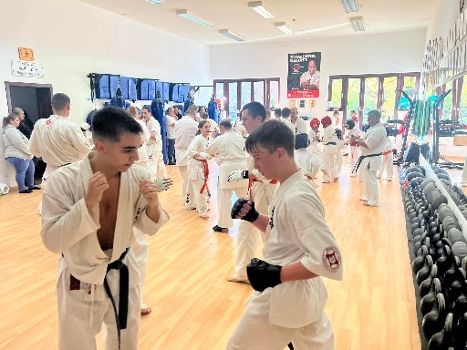 Fighting training at the Seishin Dojo 🥋⛩