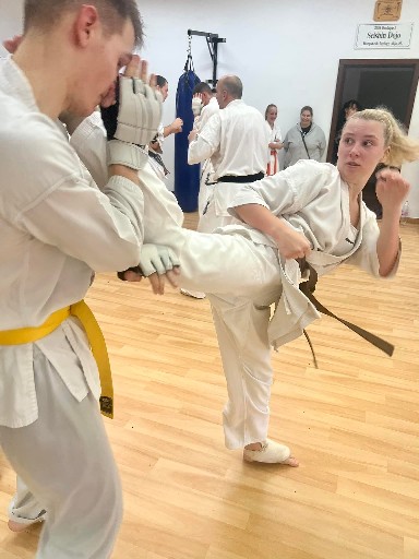 Fighting training at the Seishin Dojo 🥋⛩