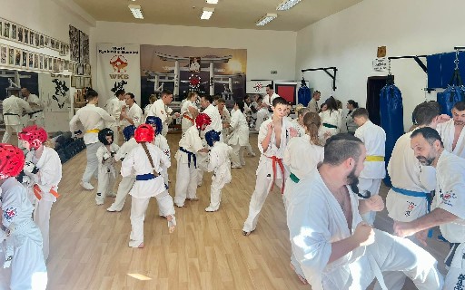 Fighting training at the Seishin Dojo 🥋⛩