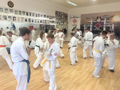 Fighting training at the Seishin Dojo 🥋⛩