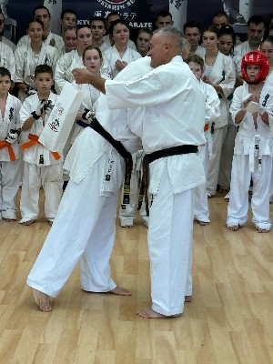 Fighting training at the Seishin Dojo 🥋⛩