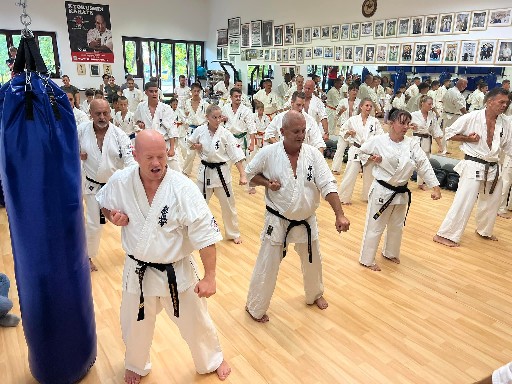 Seishin Dojo 十五 (15.) szülinapi ünneplés 🎂🥂