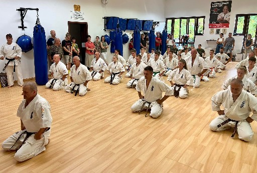 Seishin Dojo 十五 (15.) szülinapi ünneplés 🎂🥂